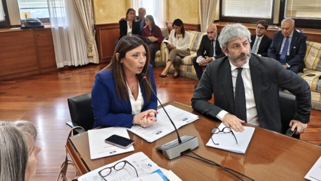 Fico Fiola