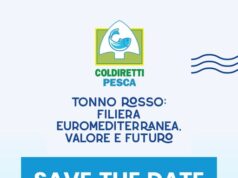 Pesca: Coldiretti, Cetara capitale europea del tonno rosso